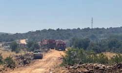Gaziantep'te orman yangını: Ekiplerin müdahalesi sürüyor