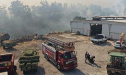 Balıkesir'de üç ayrı noktada yangın, müdahale sürüyor