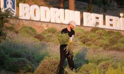 Bodrum'da gençlere tarım eğitimi