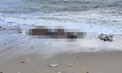 Sahilde insan iskeleti bulundu: Kimliği kıyafetinden çıktı
