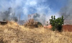 Bodrum'da çıkan orman yangını 1 saatte kontrol altına alındı