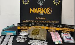 Bodrum'da uyuşturucu operasyonu: 3 şüpheliden 2'si tutuklandı