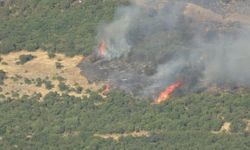 Çanakkale’deki orman yangınına müdahale sürüyor