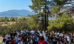 Deniz kaplumbağaları için el ele: Gençlerden çevre temizliği