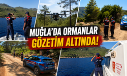 Muğla'da orman yangınlarına karşı karadan, havadan ve denizden denetimler artırıldı