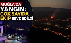 Muğla’da yangın: Çok sayıda ekip sevk edildi