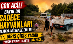 Bayır a bağlı Kavaklı mevkiinde yerleşim yeri boşaltıldı. Jandarma kimseyi almıyor