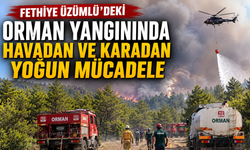 Fethiye Üzümlü'deki orman yangınında havadan ve karadan yoğun mücadele