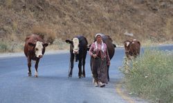 Alevlerden kaçtılar, hayvanlarını ve kendi canlarını zor kurtardılar