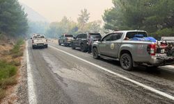 Balıkesir'deki yangın sebebiyle Ayvalık Bergama yolu trafiğe kapatıldı