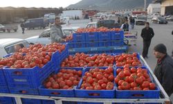 Haziran ayı ihracatı 125,9 milyon dolar