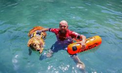 K9 köpeği Zeyna cankurtaranlara destek oluyor