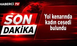 Yol kenarında kadın cesedi bulundu