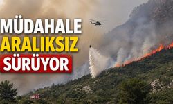 Müdahale aralıksız sürüyor