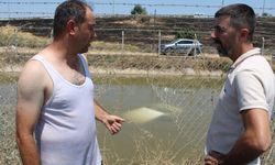 Anne ile iki çocuğu ölümle burun buruna geldi
