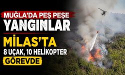 Muğla'da peş peşe yangınlar: Milas'ta 8 uçak, 10 helikopter görevde
