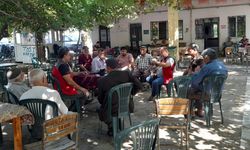 Muğla'da tarla farelerine karşı mücadele başladı