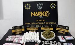 Muğla'da 3 bölgesel suç örgütü çökertildi