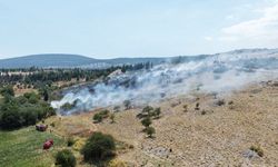 Muğla'da peş peşe yangınlar! Dalaman'da söndürüldü, Menteşe'de müdahale sürüyor