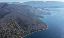 Muğla'da yeşil örtü, karaya döndü