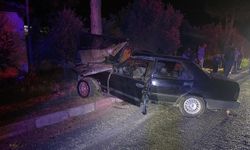 Sokak köpeğine çarpmamak için ağaca çarpan sürücü 4 günlük yaşam savaşını kaybetti