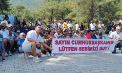 Ölüdeniz’de tanem paraşütçüleri niçin uçuşları durdurdu, eylem yapıyor?