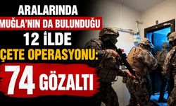 Aralarında Muğla'nın da bulunduğu 12 ilde çete operasyonu: 74 gözaltı