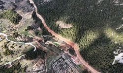 Muğla ve Aydın'da Orman yangın şerit yolu uzunluğu 2 bin kilometreye çıkıyor