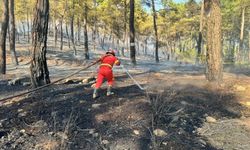Yangında gözaltına alınan şahıs adli kontrolle serbest bırakıldı
