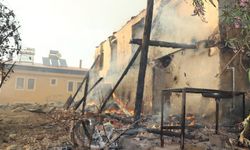 Yangın yerleşim yerine dayandı, vatandaşlar hayvanlarını alevlerin arasından kurtardı