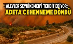 Alevler Seydikemer'i tehdit ediyor: Adeta cehenneme döndü
