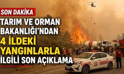 Tarım ve Orman Bakanlığı'ndan 4 ildeki yangınlarla ilgili son açıklama
