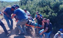Dereye devrilen traktörün sürücüsü hayatını kaybetti