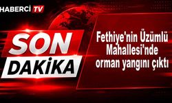 SON DAKİKA | Fethiye'nin Üzümlü Mahallesi'nde orman yangını çıktı