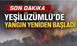 Üzümlü’de yangın yeniden başladı