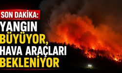 Son dakika: Yangın büyüyor, hava araçları bekleniyor