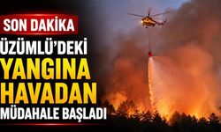 SON DAKİKA | Üzümlü'deki yangına havadan müdahale başladı