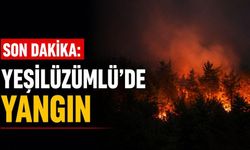 Son dakika: Yeşilüzümlü’de yangın