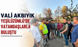 Vali Akbıyık Yeşilüzümlü'de vatandaşlarla buluştu