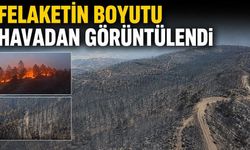 Felaketin boyutu havadan görüntülendi