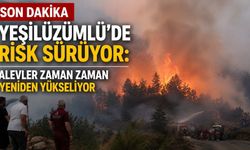 Son Dakika | Yeşilüzümlü'de risk sürüyor: Alevler zaman zaman yeniden yükseliyor