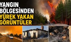 Yangın bölgesinden yürek yakan görüntüler: Hayvanlar telef oldu, evler küle döndü