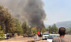 Son Dakika | Fethiye-Çameli yolu trafiğe kapatıldı, yangın yeniden alevleniyor