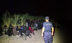 62 düzensiz göçmen yakalandı