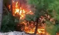 Yıldırımın düşmesiyle yangın çıktı: 1 dönüm alan zarar gördü