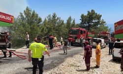 Alanya'da orman yangını 3 saatte kontrol altına alındı