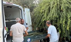 Evinin merdiveninde ölü bulundu