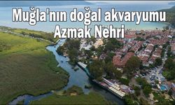 Muğla'nın doğal akvaryumu Azmak Nehri