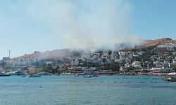 Bodrum’da makilik alanda yangın çıktı