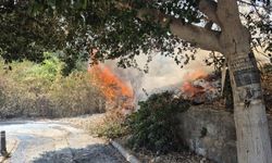 Bodrum'daki yangın büyümeden söndürüldü